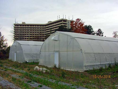 New urban greenhouses at Black Creek Community Farm that I advised on.